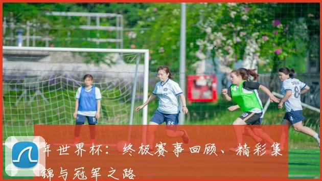 年世界杯:终极赛事回顾、精彩集锦与冠军之路
